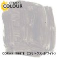 画像2: [シタデルカラー：BASE] CORAX WHITE コラックス・ホワイト (2)
